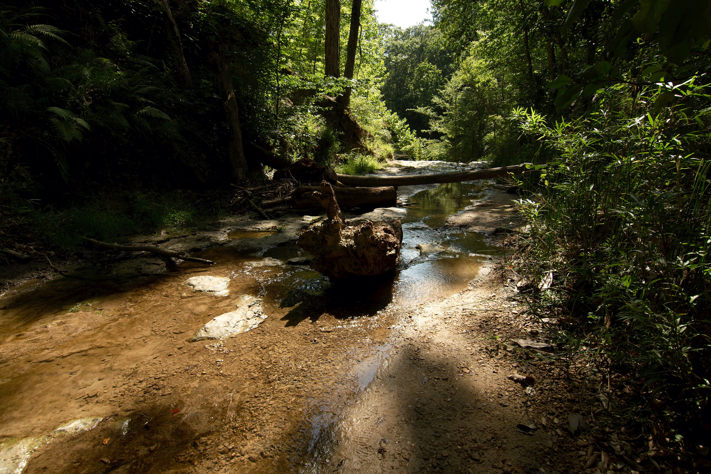 tunica, mississippi (2).webp